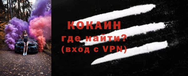 гидра Бронницы