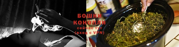 гидра Бронницы