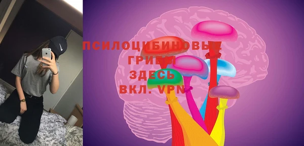 а пвп мука Бугульма