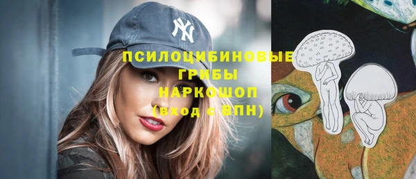 гидра Бронницы