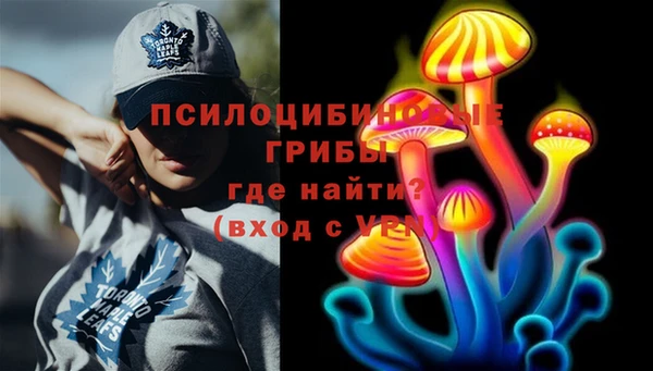 ешки Волоколамск